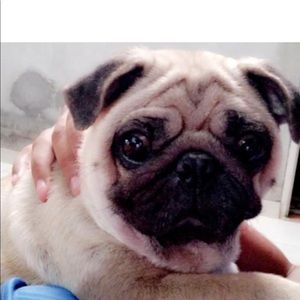 Meet your Posher, Sanamdeep